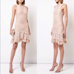 🔥 Jonathan Simkhai Metallic sleeveless lace ruffled Mini Dress Nude size 6